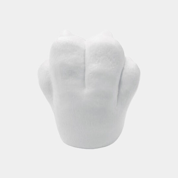 Pet Paw Shaped Stress Ball Thumbnail