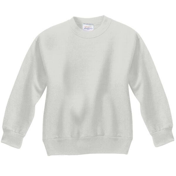 Youth ComfortBlend® EcoSmart® Fleece Crew Thumbnail