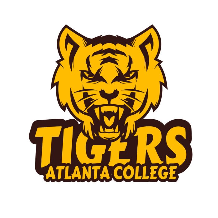 School Tigers 09 Thumbnail
