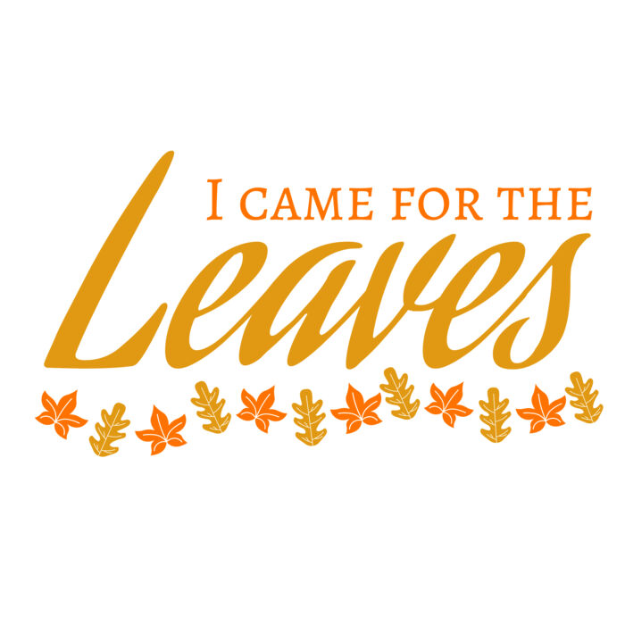 Fall Season 28 Thumbnail