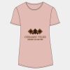 Women's Softstyle® CVC T-Shirt Thumbnail