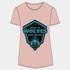 Women's Softstyle® CVC T-Shirt Thumbnail